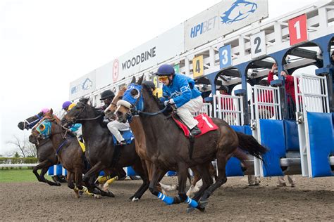 DRF Horse Racing Review .